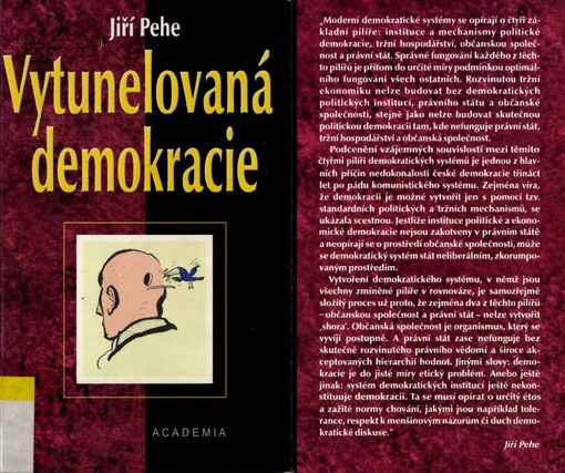 Vytunelovaná demokracie