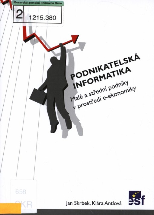 Podnikatelská informatika: malé a střední podniky v prostředí e-ekonomiky