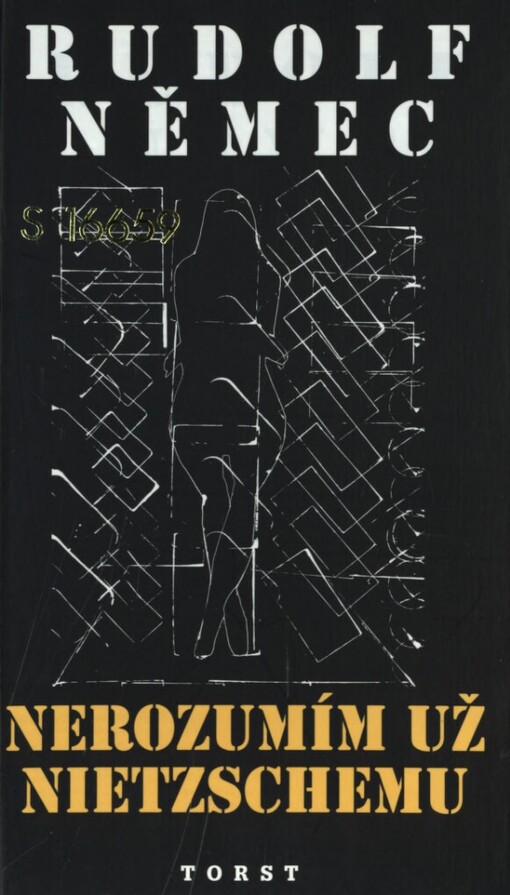 Nerozumím už Nietzschemu