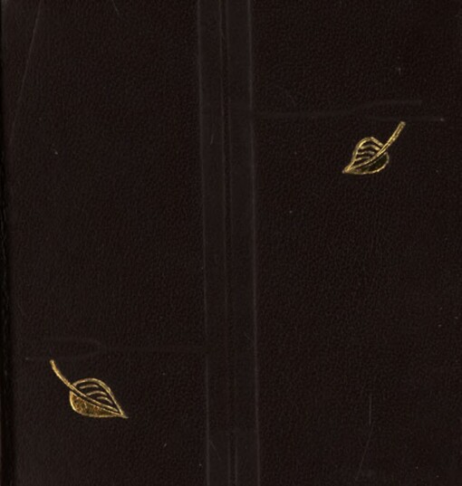 Zdůvodnit krásu :knížka básní