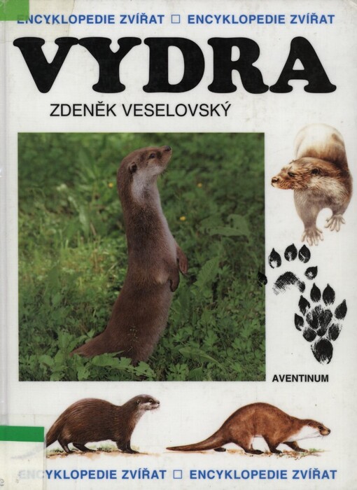 Vydra