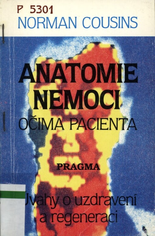 Anatomie nemoci očima pacienta: úvahy o uzdravení a regeneraci