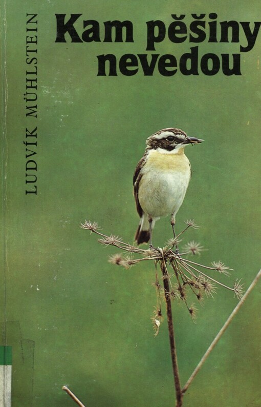 Kam pěšiny nevedou