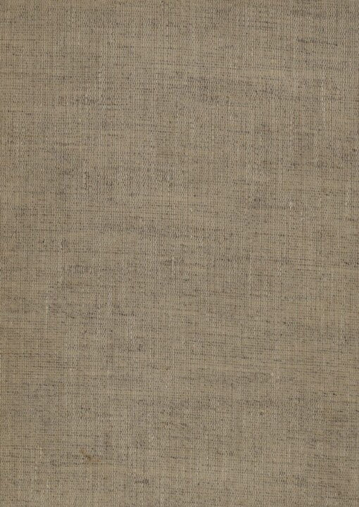 Co nebude v dějepise