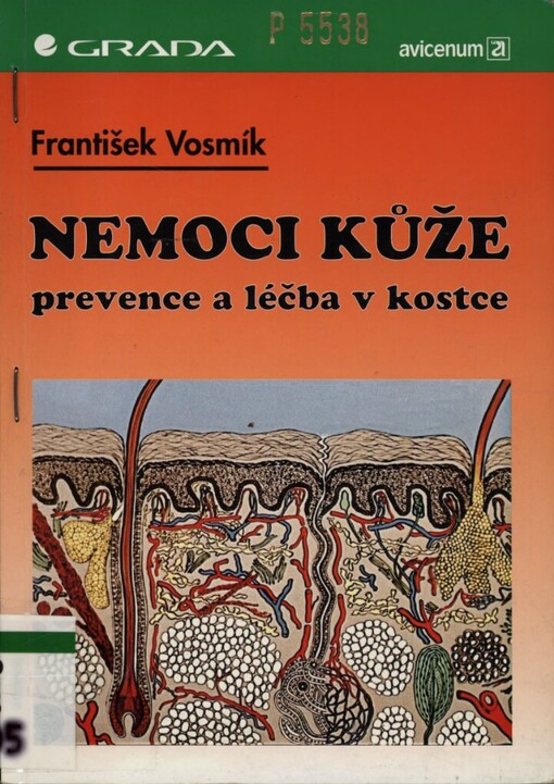 Nemoci kůže: prevence a léčba v kostce