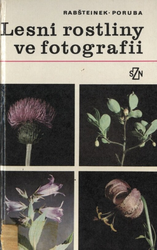Lesní rostliny ve fotografii