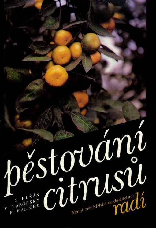 Pěstování citrusů