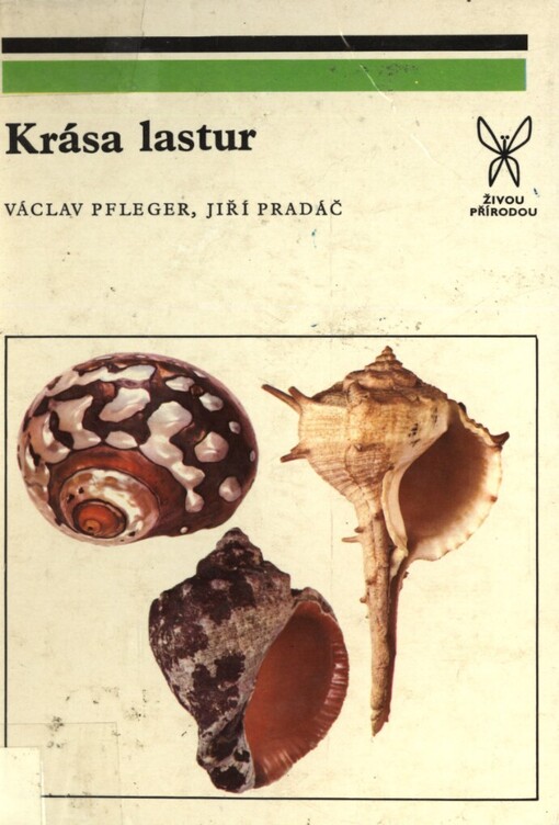 Krása lastur
