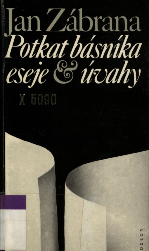 Potkat básníka: eseje a úvahy