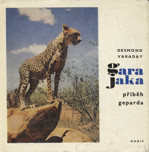 Gara Jaka :příběh geparda