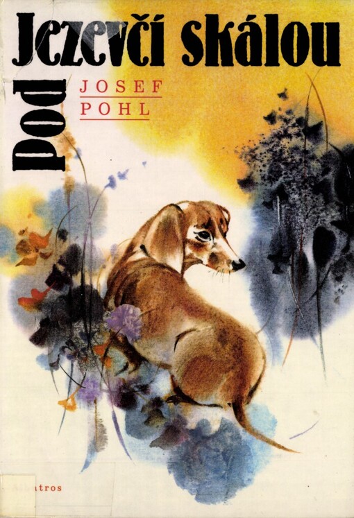 Pod Jezevčí skálou: Pro čtenáře od 9 let