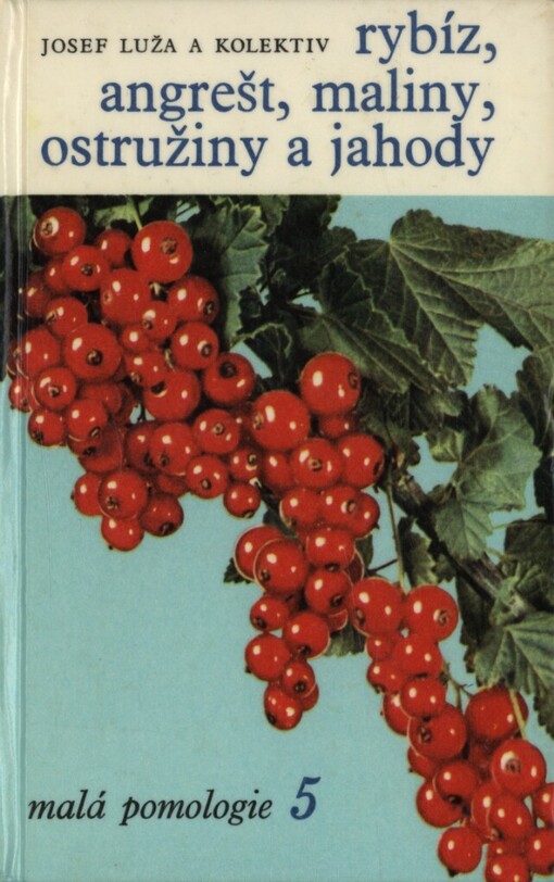 Rybíz, angrešt, maliny, ostružiny a jahody
