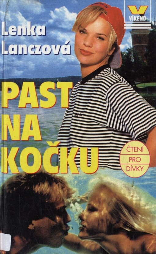 Past na kočku