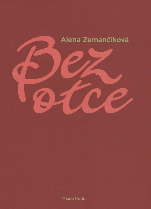 Bez otce: povídky z let 1991-2007