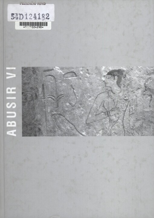 Abusir VI: Djedkare's family cemetery