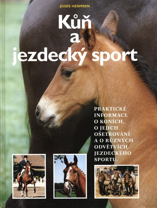 Kůň a jezdecký sport