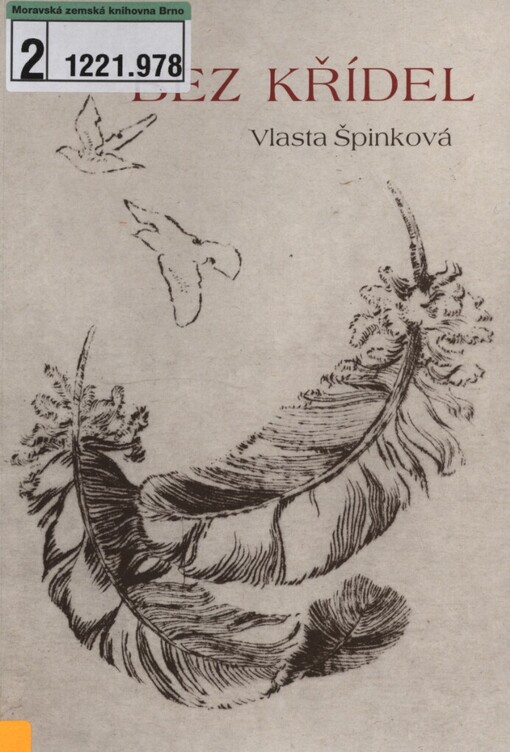 Bez křídel