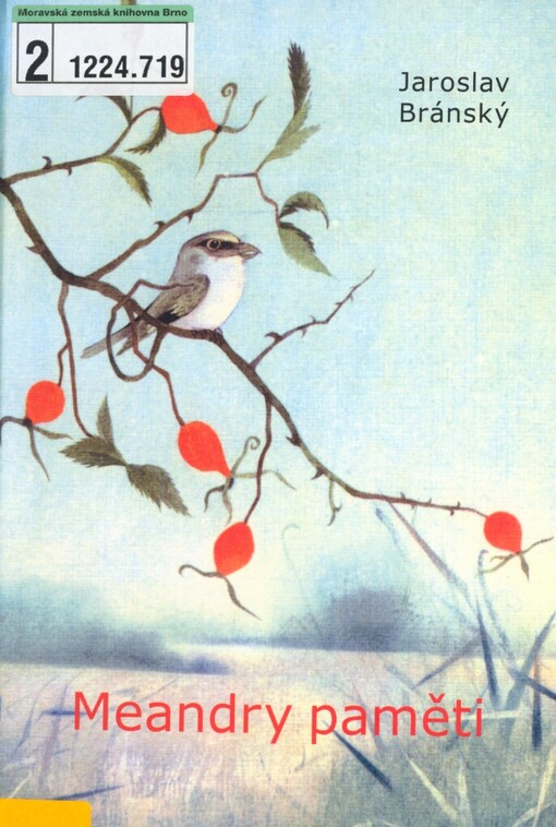 Meandry paměti: o výstavách a výtvarnících