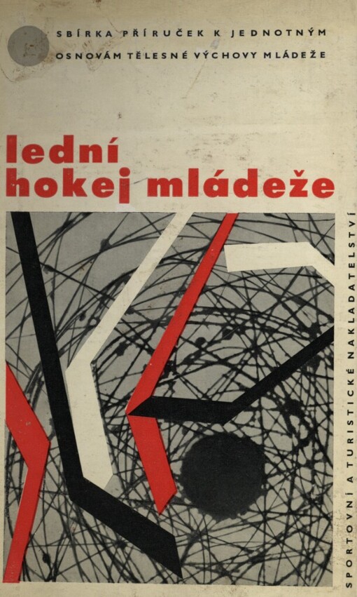 Lední hokej mládeže