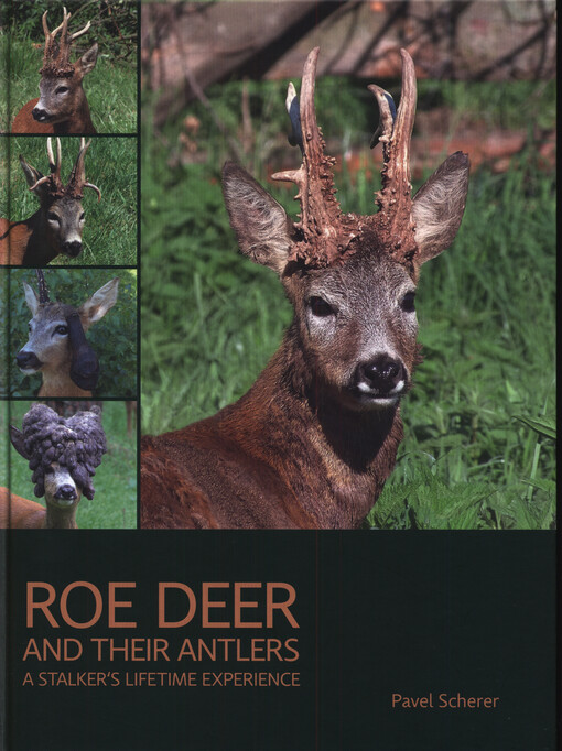 Roe deer and their antlers : a stalker's lifetime experience