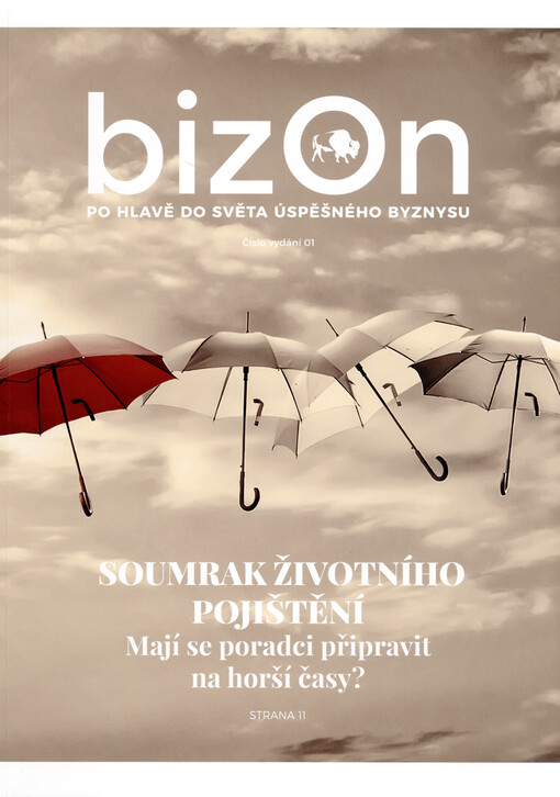 Bizon : po hlavě do světa úspěšného byznysu