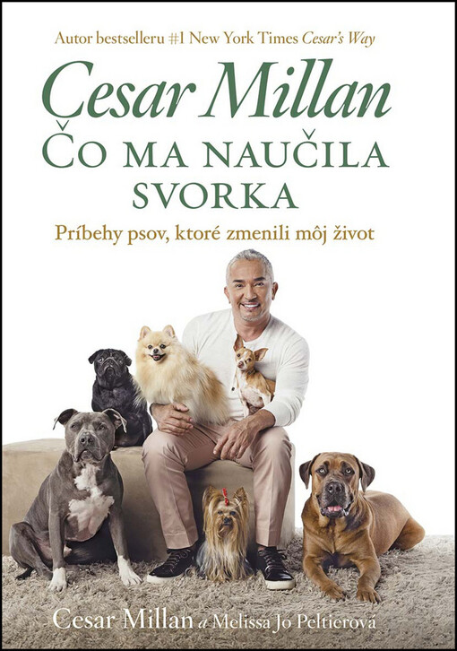 Čo ma naučila svorka