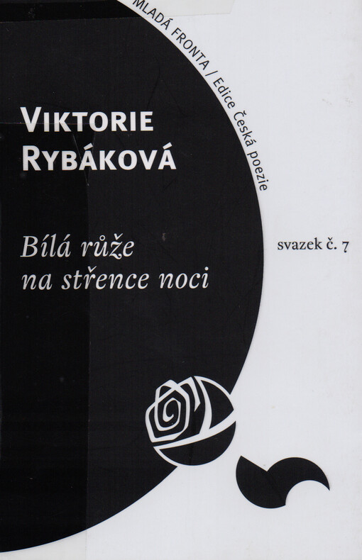 Bílá růže na střence noci