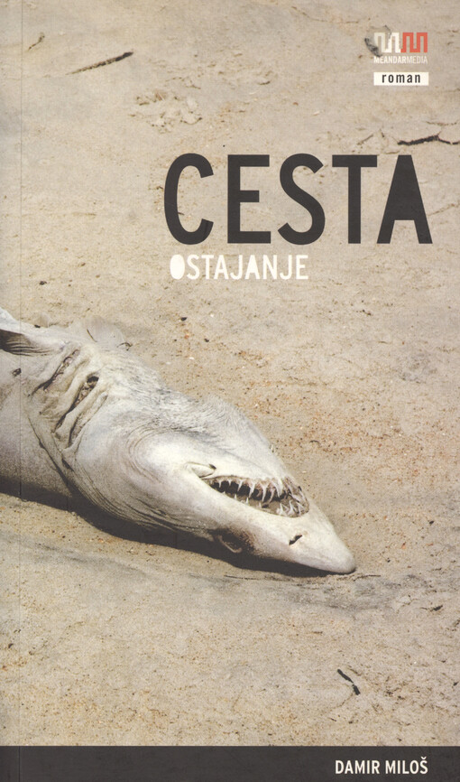 Cesta (Ostajanje)