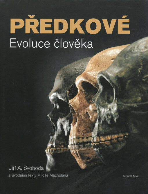 Předkové: evoluce člověka