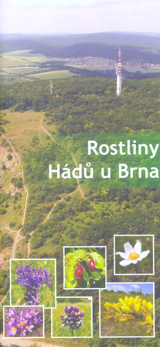 Rostliny Hádů u Brna
