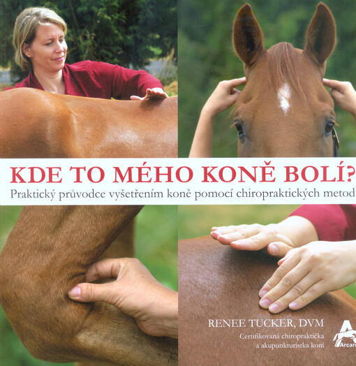 Kde to mého koně bolí?