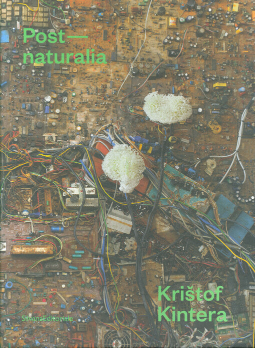Postnaturalia
