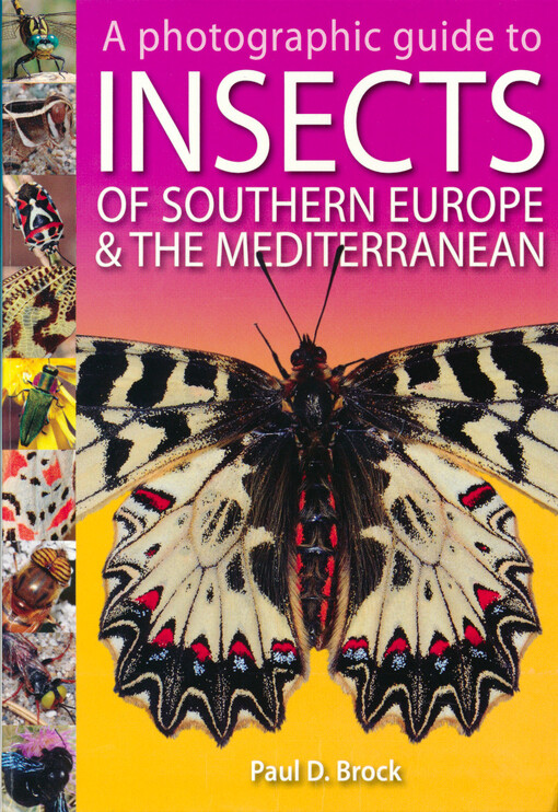 A photographic guide to insects of Southern Europe & the Mediterranean