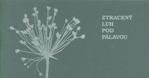 Ztracený luh pod Pálavou