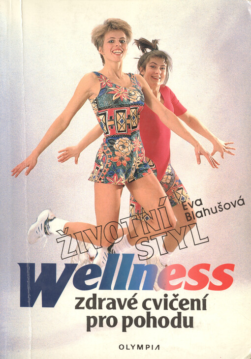 Wellness: životní styl : zdravé cvičení pro pohodu