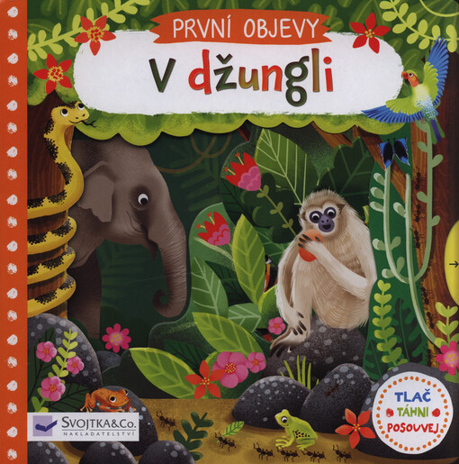 První objevy - V džungli