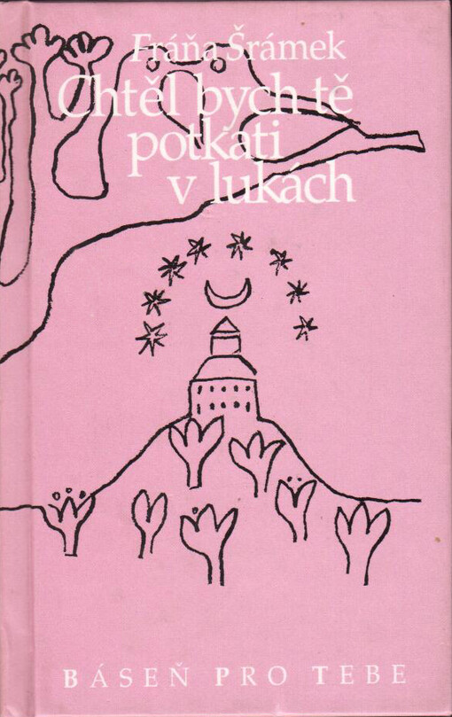 Chtěl bych tě potkati v lukách