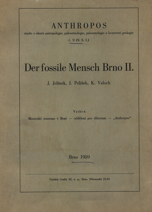 Der Fossile Mensch Brno II