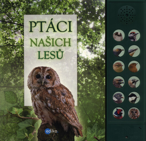 Ptáci našich lesů