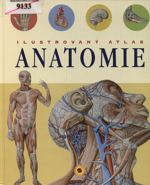 Ilustrovaný atlas anatomie