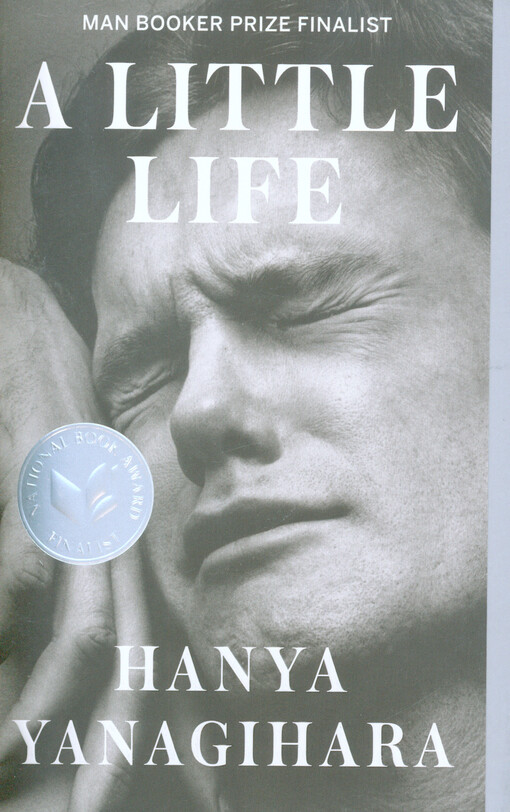 A little life : (a novel)