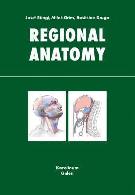 Regional anatomy