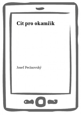 Cit pro okamžik