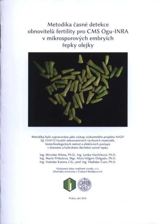 Metodika časné detekce obnovitelů fertility pro CMS Ogu-INRA v mikrosporových embryích řepky olejky