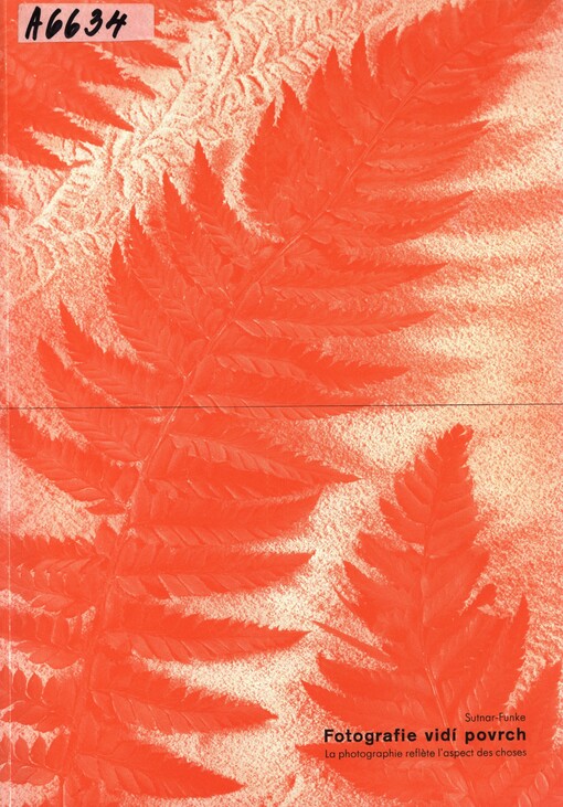Fotografie vidí povrch = La photographie reflète l'aspect des choses