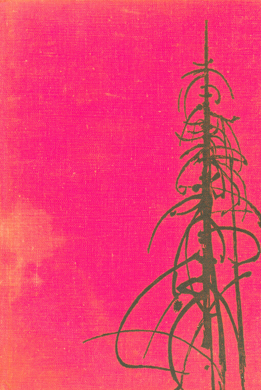 Vlci pod Babí horou