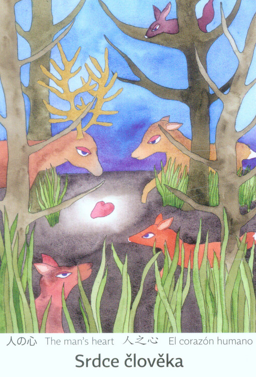 Srdce člověka