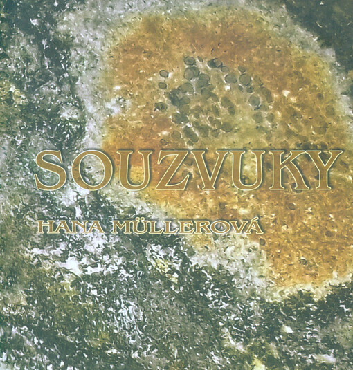 Souzvuky