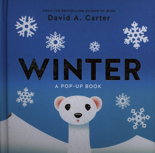 Winter : a pop-up book