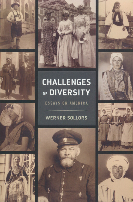 Challenges of diversity : essays on America
